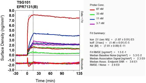 OI-RD Scanning - Anti-TSG101 antibody [EPR7131(B)] (AB133586)