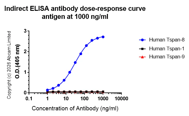 Indirect ELISA - Anti-Tspan-8 antibody [EPR28888-508] (AB326570)