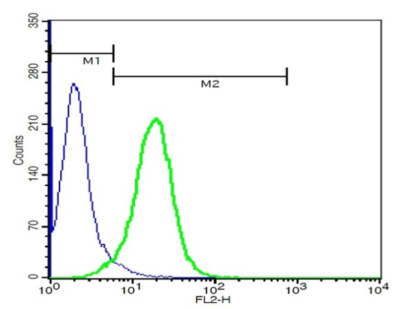 Flow Cytometry - Anti-Tspan-9 antibody (AB215432), expandable thumbnail