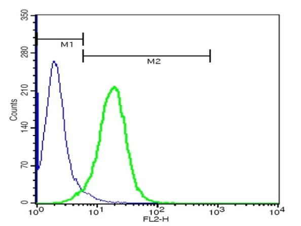 Flow Cytometry - Anti-Tspan-9 antibody (AB215432)
