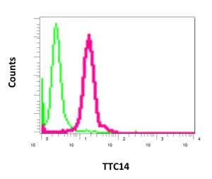 Flow Cytometry (Intracellular) - Anti-TTC14 antibody [EPR11143] - BSA and Azide free (AB249386)