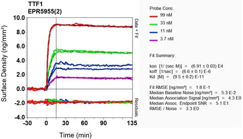 OI-RD Scanning - Anti-TTF1/Nkx2-1 antibody [EPR5955(2)] - BSA and Azide free (AB227574)
