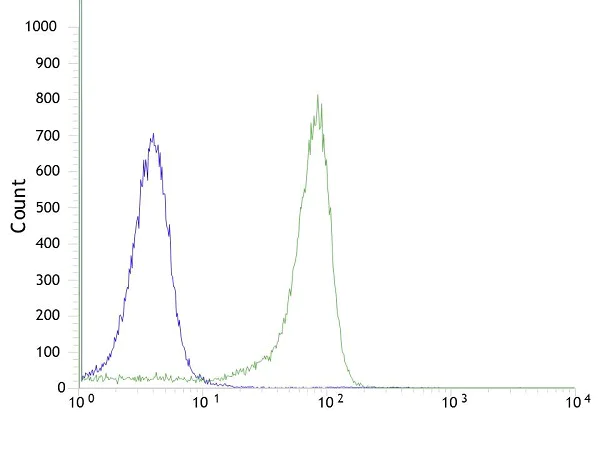 Anti-TTF1/Nkx2-1 antibody [SP141] - BSA and Azide free (ab242428