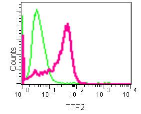 Flow Cytometry (Intracellular) - Anti-TTF2 antibody [EPR12756] (AB181116)