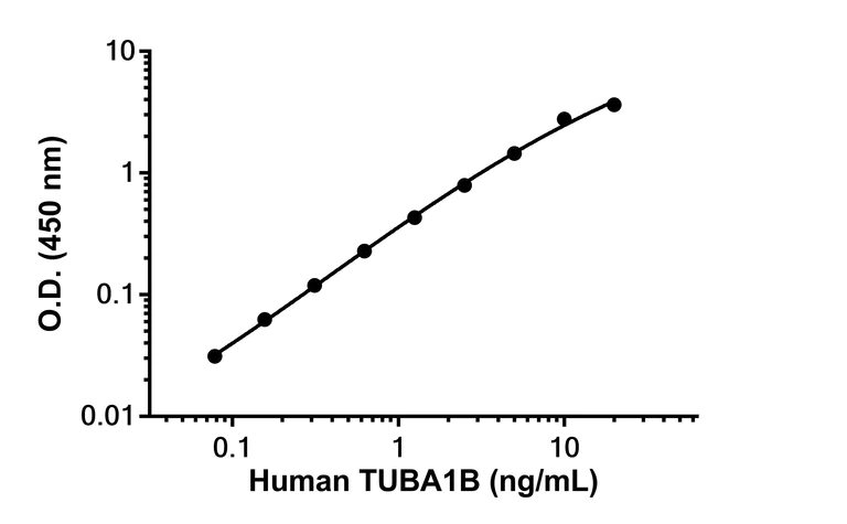 Sandwich ELISA - Anti-TUBA1B antibody [EPR24627-4] - BSA and Azide free (Detector) (AB305163)