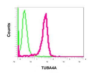 Flow Cytometry (Intracellular) - Anti-TUBA4A antibody [EPR13477(B)] (ab177479), expandable thumbnail
