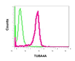 Flow Cytometry (Intracellular) - Anti-TUBA4A antibody [EPR13477(B)] - Loading Control (AB177479)