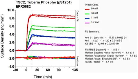OI-RD Scanning - Anti-Tuberin (phospho S1254) antibody [EPR5682] (AB133454)