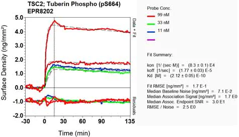 OI-RD Scanning - Anti-Tuberin (phospho S664) antibody [EPR8202] (AB133465)