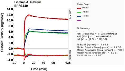 OI-RD Scanning - Anti-TUBG1 antibody [EPR8449] - Centrosome Marker (AB129021)