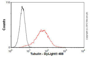 Flow Cytometry - Anti-Tubulin antibody [4D1] - Loading Control (AB56676)
