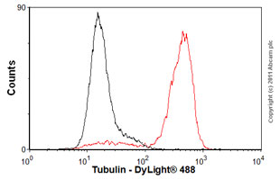 Flow Cytometry (Intracellular) - Anti-Tubulin antibody [YL1/2] - BSA and Azide free (AB264519)