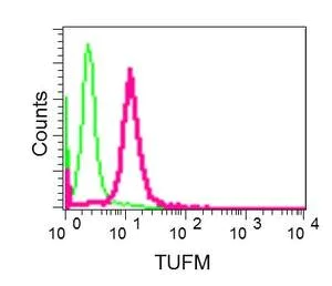 Flow Cytometry (Intracellular) - Anti-TUFM antibody [EPR12797(B)] - BSA and Azide free (AB249761)