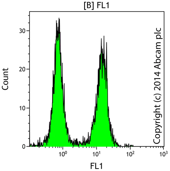 Functional Studies - TUNEL Assay Kit - FITC (AB66108)