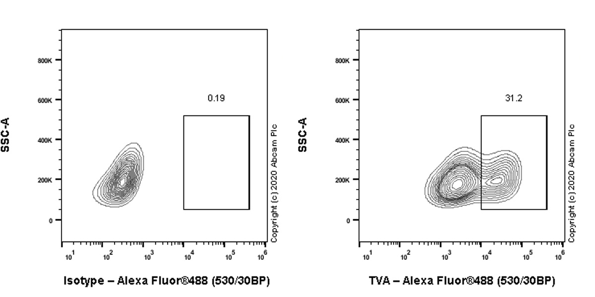 Flow Cytometry (Intracellular) - Anti-TVA antibody [PICA187E] - BSA and Azide free (AB271302), expandable thumbnail
