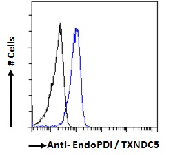 Flow Cytometry (Intracellular) - Anti-TXNDC5 antibody (AB13820)