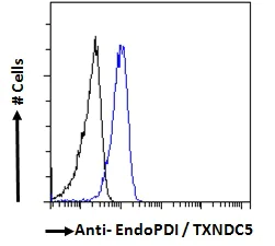 Flow Cytometry (Intracellular) - Anti-TXNDC5 antibody (AB13820)