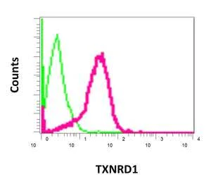 Flow Cytometry (Intracellular) - Anti-TXNRD1 antibody [EPR10205] - BSA and Azide free (AB249425)