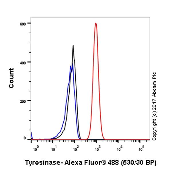 Flow Cytometry (Intracellular) - Anti-Tyrosinase antibody [EPR10141] (AB170905), expandable thumbnail