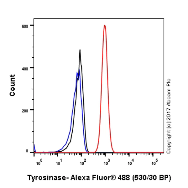Flow Cytometry (Intracellular) - Anti-Tyrosinase antibody [EPR10141] (AB170905)