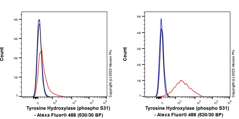 Flow Cytometry (Intracellular) - Anti-Tyrosine Hydroxylase (phospho S31) antibody [EPR26192-116] - BSA and Azide free (AB314485)