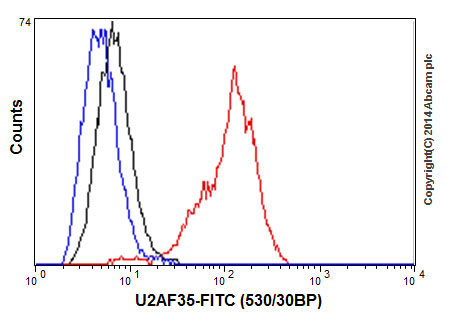 Flow Cytometry (Intracellular) - Anti-U2AF35/U2AF1 antibody [EPR12648(2)] - BSA and Azide free (ab251242), expandable thumbnail