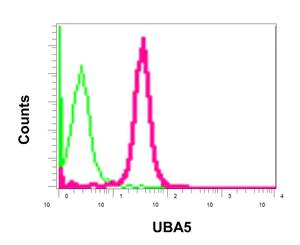 Flow Cytometry (Intracellular) - Anti-UBA5 antibody [EPR11729] (AB177478)