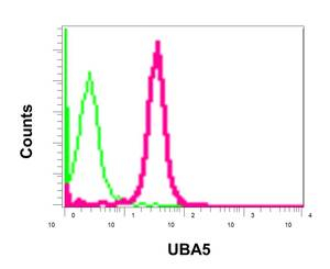 Flow Cytometry (Intracellular) - Anti-UBA5 antibody [EPR11729] - BSA and Azide free (AB249983), expandable thumbnail