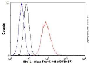 Flow Cytometry (Intracellular) - Anti-Ube1L + E1 Ubiquitin Activating Enzyme 1/UBA1 antibody [EPR4269(2)] - BSA and Azide free (AB248515)