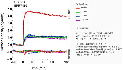 OI-RD Scanning - Anti-Ube2B antibody [EPR7199] - BSA and Azide free (AB248243)
