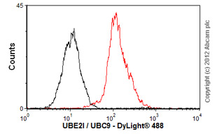 Flow Cytometry (Intracellular) - Anti-UBE2I / UBC9 antibody [EP2938Y] (AB75854), expandable thumbnail