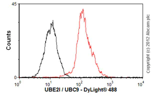 Flow Cytometry (Intracellular) - Anti-UBE2I / UBC9 antibody [EP2938Y] (AB75854)