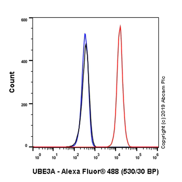 Flow Cytometry (Intracellular) - Anti-UBE3A antibody [EPR23077-14] - BSA and Azide free (AB272173)