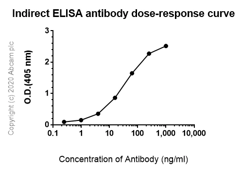 Indirect ELISA - Anti-UBE3A antibody [EPR23077-14] - BSA and Azide free (AB272173)