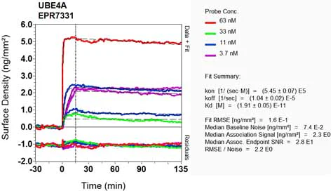 OI-RD Scanning - Anti-Ube4a antibody [EPR7331] - BSA and Azide free (AB248191)