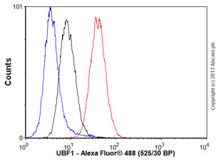 Flow Cytometry (Intracellular) - Anti-UBF1 antibody [EP2741Y] (AB75781), expandable thumbnail