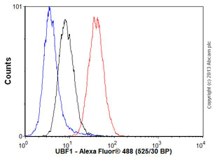Flow Cytometry (Intracellular) - Anti-UBF1 antibody [EP2741Y] (AB75781)