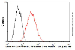 Flow Cytometry - Anti-Ubiquinol-Cytochrome C Reductase Core Protein I antibody [16D10AD9AH5] (AB110252)