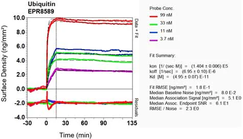 OI-RD Scanning - Anti-Ubiquitin antibody [EPR8589] (AB137031)