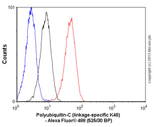 Flow Cytometry (Intracellular) - Anti-Ubiquitin (linkage-specific K48) antibody [EP8589] - BSA and Azide free (AB271911)