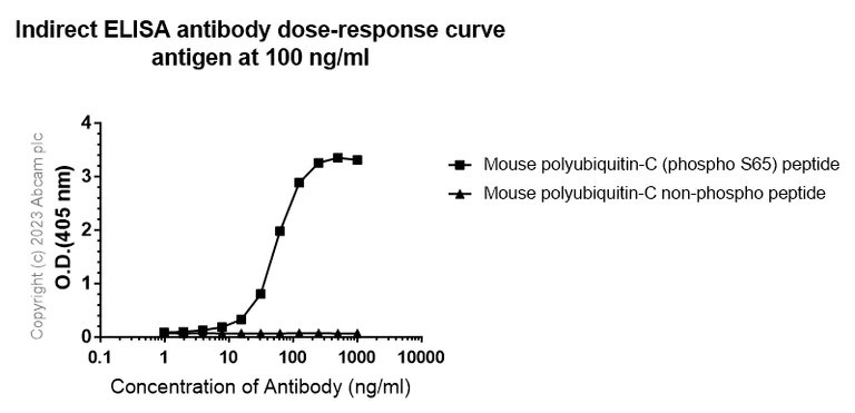 Indirect ELISA - Anti-Ubiquitin (phospho S65) antibody [19H1/19K1] (AB314901)