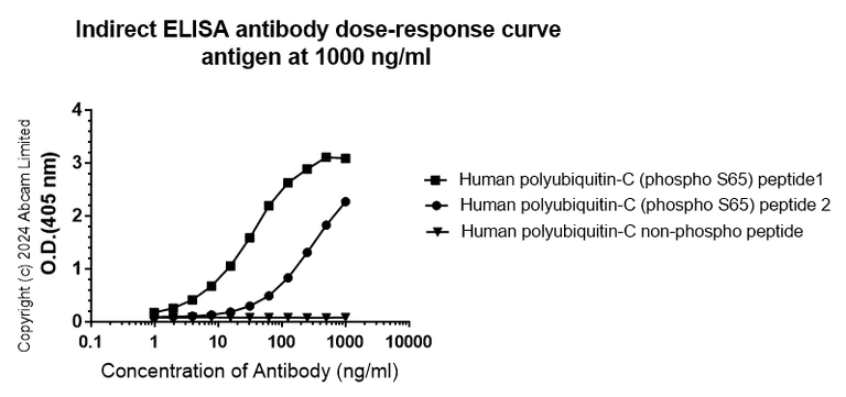 Indirect ELISA - Anti-Ubiquitin (phospho S65) antibody [30H3/30K1] - Rat IgG2a (Chimeric) - BSA and Azide free (AB320097)
