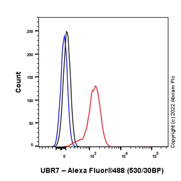 Flow Cytometry (Intracellular) - Anti-UBR7 antibody [EPR26170-67] (ab305239), expandable thumbnail
