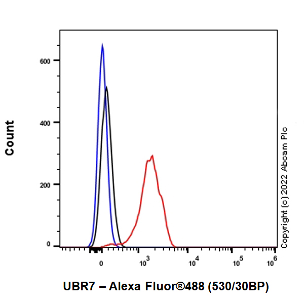 Flow Cytometry (Intracellular) - Anti-UBR7 antibody [EPR26170-67] (ab305239), expandable thumbnail