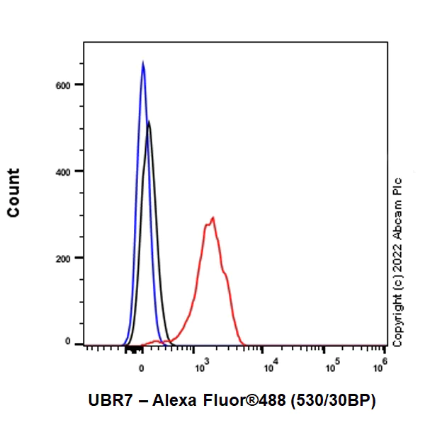 Flow Cytometry (Intracellular) - Anti-UBR7 antibody [EPR26170-67] (AB305239)