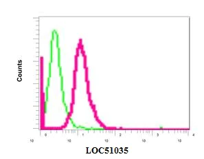 Flow Cytometry (Intracellular) - Anti-UBXN1 antibody [EPR9136] (AB151723)