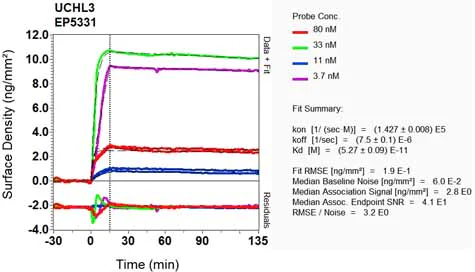 OI-RD Scanning - Anti-UCHL3 antibody [EP5331] (AB126621)
