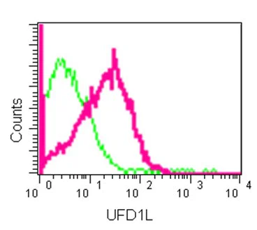 Flow Cytometry (Intracellular) - Anti-UFD1L antibody [EPR12847] - N-terminal (AB181080)