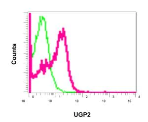 Flow Cytometry (Intracellular) - Anti-UGPase antibody [EPR10626] (AB157473)
