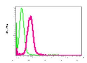 Flow Cytometry (Intracellular) - Anti-UGPase antibody [EPR10627(B)] (AB154817), expandable thumbnail